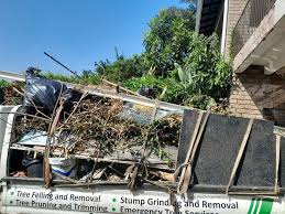 Professional Junk Removal Services in Iselin, NJ
